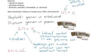 BiologieErfelijkheidbasisbegrippen [upl. by Enahsed]