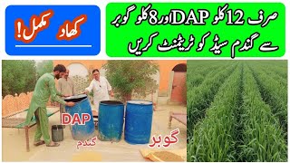 Wheat Seeds Treatments Fertiliser DAP and Gobar Advanced Farming techniques All Crop information [upl. by Zebulen]