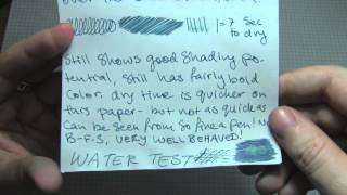 Ink Review Noodlers Bad Blue Heron Ink [upl. by Alleb]