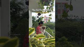 MiniVlog 74  Slow And Peaceful Morning In Amma Veedu sowbaraniyaramesh minivlog [upl. by Aihsit371]