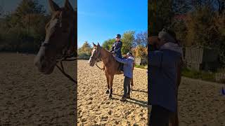 Drehsitz Stellung erkennen Reitlehrerin drehsitz stellung reitstunde erklärung reiter [upl. by Amberly]