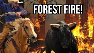 Saving Cattle From a FOREST FIRE [upl. by Carlina]