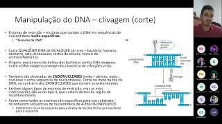 Biotecnologia Aula 4  DNA recombinante [upl. by Enened]