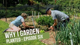 Planted Shorts Episode 6 Why I Garden Don Marshall [upl. by Giamo]