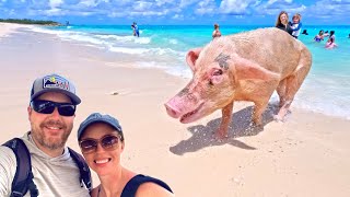 The Absolute BEST Swimming with Pigs Tour  Rose Island  Nassau Bahamas [upl. by Toth]