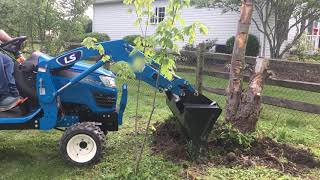 REMOVING A WHITE PINE TREE STUMP AND ROOTS WITH A LS MT122 [upl. by Eliathan818]