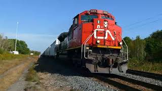 CN 8889 West Passes Grafton [upl. by Cadmann670]