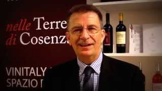 Accademia del Magliocco presentazione al Vinitaly [upl. by Robinson]