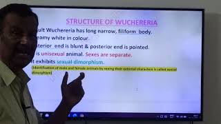 267Wuchereria bancrofti Life cycleLQJRsUnit ViBiology in Human welfare [upl. by Jacques]