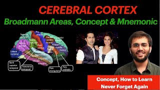 Cerebral Cortex  CNS Physiology  Brodmann Areas Mnemonic amp Conept Video  Neuroanatomy [upl. by Ahsikrats921]