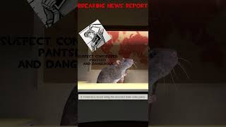 TF2 breaking news 10252024 shorts [upl. by Aliab14]