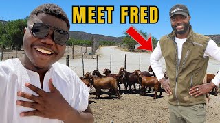 MEET THE MAN CHANGING THE NARRATIVE OF LIVESTOCK FARMING IN AFRICA [upl. by Hanahsuar115]