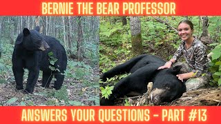 Your Bear Hunting Questions Answered Bernie the Bear Professor 13 [upl. by Kimberly640]