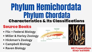 Hemichordata amp Chordata  General Characteristics amp Classification  Miller amp Harley Zoology  PPSC [upl. by Etnuahc]