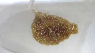 vac purging bho [upl. by Noffihc]