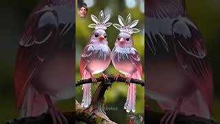 Cute beautiful birds ai naturebirdslover oiseau aiartwork shorts pets youtube msk58 [upl. by Ewold]