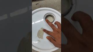 interior paint shade  bison emulsion  ytshorts satisfying [upl. by Shiverick154]