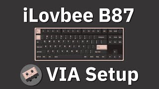 Connecting the iLovbee B87 to VIA  Howto [upl. by Bixby]