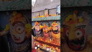 Jai Jagannath famoustemple devotional subscribe viralshort youtube reel anniversary [upl. by Annazor]