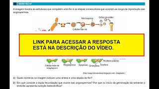 Questão de Biologia  Famema 2024  A imagem mostra as estruturas que compõem uma flor [upl. by Cohlette306]