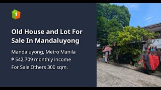 Old House and Lot For Sale In Mandaluyong [upl. by Raamaj]