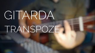 Gitarda Transpoze Şarkı Tonunu İnceltip Kalınlaştırmak [upl. by Salsbury]