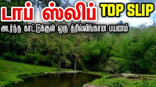 Trip to Beautiful TOPSLIPPollachi பொள்ளாச்சிஆனைமலை டாப்ஸ்லிப் காட்டுக்குள் ஒரு திகிலான கார் பயணம் [upl. by Nitsreik]