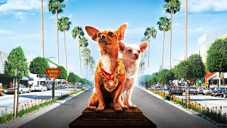 Beverly Hills Chihuahua Full Movie Facts And Review  Piper Perabo  Manolo Cardona [upl. by Statis]