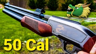 50 Cal Dragon Claw First Shots Range Day EPIC Big Bore Air Rifle 🐲🐲🐲 [upl. by Nava499]