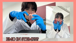 Dissecting A Sheep’s Heart for Science [upl. by Nady623]