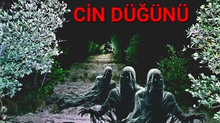 GECE YARISI GÃ–RDÃœÄÃœMÃœZ TÃœYLER ÃœRPERTEN CÄ°N DÃœÄÃœNÃœ Paranormal olaylar [upl. by Ynaffets]