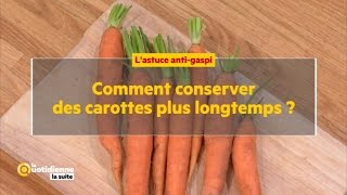 Comment conserver des carottes plus longtemps [upl. by Horton216]