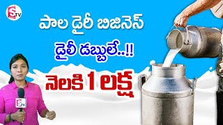 Milk Dairy Business  Dairy Farming Business  High Profit Business  Business ideas  Sumantv [upl. by O'Conner]