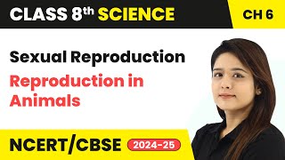 Sexual Reproduction  Reproduction in Animals  Class 8 Science Chapter 6 cbse [upl. by Chemarin]