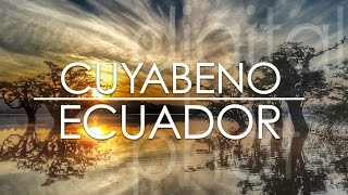 Cuyabeno Amazon Jungle Tour  Ecuador in 4K [upl. by Cottle]