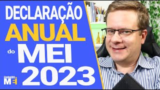 💰 DECLARAÇÃO ANUAL DO MEI  PASSO A PASSO FÁCIL [upl. by Nylacaj]