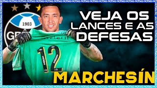 BEM VINDO AO GRÊMIO AUGUSTIN MARCHESÍN LANCES E DEFESAS 2024 [upl. by Baugh]