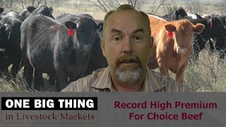 Record High Premium For Choice Beef [upl. by Cymbre]