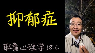 抑郁症的误解  非药物治疗【耶鲁心理学导论笔记】18 c [upl. by Yrmac582]