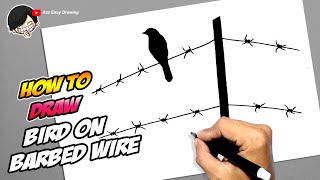 How to draw Bird on Barbed Wire Silhouette [upl. by Solorac]