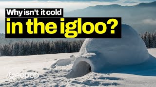 Why is it not cold inside igloos even though they are made of ice [upl. by Cigam]