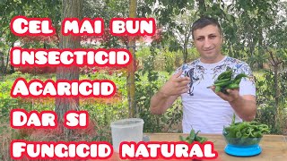 Cel mai bun insecticid pentru afide si acaricid natural [upl. by Bowden454]