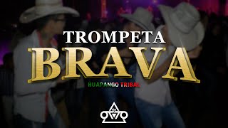 Trompeta Brava  Dj Otto Huapango Tribal [upl. by Amelia]