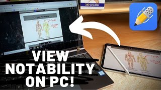 How to VIEW Notability Notes on your Windows PC [upl. by Yl]