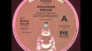 Aquarian Dream  Phoenix [upl. by Boyt]