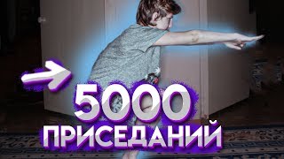 5000 приседаний за 1 день  Что будет если присесть 5000 раз за день [upl. by Nhguahs]