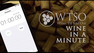 WTSO Wine in a Minute Domaine du Grand Montmirail Gigondas Vieilles Vignes 2013 [upl. by Rramal244]