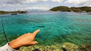 Nargué Par De Gros Poissons  Pêche Exotique  Guadeloupe RockFishing [upl. by Dart]