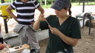 CAPACITACIÓN BIOTECNOLOGÍA REPRODUCTIVA CIFA GANADEROS PROVINCIA DE SUMAPAZ  COMIGAN SUMAPAZ [upl. by Kampmann]