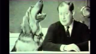 Sir Clement Freud 1924 2009 with his famous Dog Food Advert featuring Henry the dog [upl. by Ted]